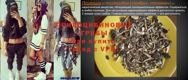 индика Арсеньев