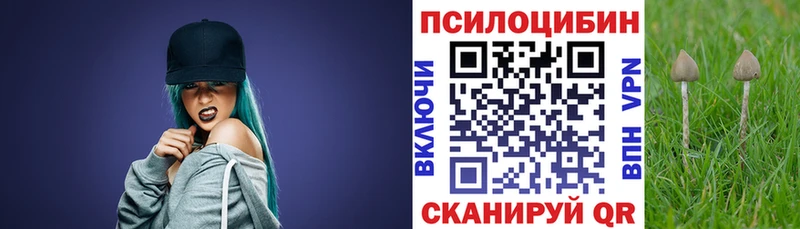 Галлюциногенные грибы Psilocybe  Терек 