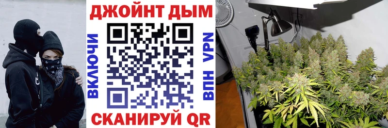 MEGA маркетплейс Терек Шишки марихуана SATIVA & INDICA